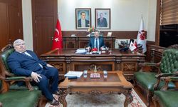 Vali Aksoy Çifteler Kaymakamını Makamında Kabul Etti