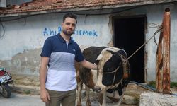 Kurbanlık almak isterken dolandırıldı