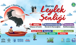 Bursa Leylek Şenliği, dolu dolu içeriğiyle başlıyor