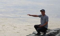 Gemlik Sahilleri'nde tehlikeli görüntü