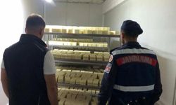 Sakarya’da 1,5 milyonluk sahte kaşar peyniri operasyonu