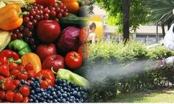 Sebze ve Meyvelerdeki Pestisitlerden Nasıl Kurtulabiliriz?