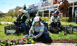 Tepebaşı Çiçeklerle Donatıldı