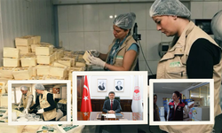 Süt ürünleri üretimi ve satışı yapan 39 işletmeye denetim