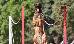 "Hassas Burunları" 7/24 Göreve Hazır Bekliyor
