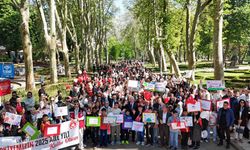 15 Mayıs Uluslararası Aile Günü, 81 ilde "Aile Yılı Yürüyüşü" ile kutlandı