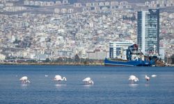 İzmir’in iklim eylemi çalışmaları Avrupa gündeminde