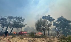 Karaburun’da yangın alarmı