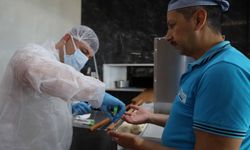 Antikkapı her alanda fark yaratıyor