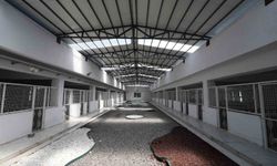 Kayseri’de 500 hayvan kapasiteli yeni bir barınak inşa ediliyor