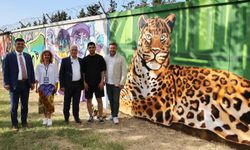 Duvarlar graffitilerle renklendi