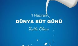 TVHB: Süt Kalitesi Hâlâ İstenen Düzeyde Değil