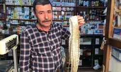 Kurban Bayramı'nda kendi sucuğunu yapacak olanlara aktardan tavsiyeler