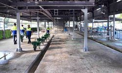 Bahçelievler'de Kurban Kesimi Modern Tesiste Gerçekleşti