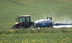 Çiftçiler, zararlı bitkiye karşı önlem almaya başladı