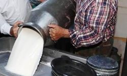 Ticari Süt İşletmelerince 981 Bin 10 Ton İnek Sütü Toplandı