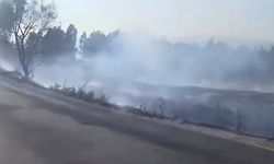 Söke’deki yangın korkuttu