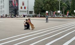 Jandarma arama köpeklerinden nefes kesen gösteri
