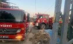 Hatay’da çıkan orman yangını kontrol altına alındı