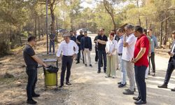 Seçer, Emirler Orman Parkı'nda incelemelerde bulundu
