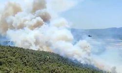 Kırıkağaç'ta yangın yeniden başladı