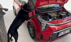 Aracın motor kısmına gizlenmiş yasaklı madde ele geçirildi