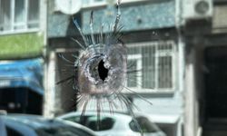 O ilçede 1 ev ve 4 iş yeri kurşunlandı
