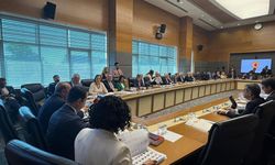 Sağlık alanına yönelik düzenlemeler geliyor