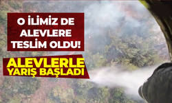 O ilimiz de alevlere teslim oldu! Alevlerle yarış başladı