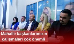 Gürhan Albayrak'ın ilçe ziyaretleri devam ediyor