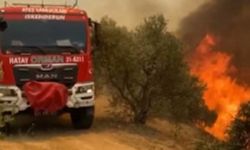 Alevler bu kez Hatay'da yükseldi