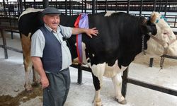 1 ton 200 kiloluk kurbanlık 350 bin TL’ye satıldı
