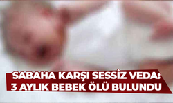 Sabaha Karşı Sessiz Veda: 3 Aylık Bebek ölü bulundu