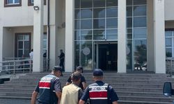 Çanakkale'de arazide 77 kök kenevir ele geçirildi: 1 tutuklama