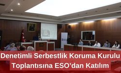 Denetimli Serbestlik Koruma Kurulu Toplantısına ESO’dan Katılım