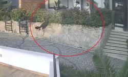 Doktorun iteklediği kadın düşerek ağır yaralandı