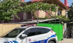 Aile kavgası kanlı bitti