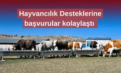 Hayvancılık Desteklerine başvuru kolaylığı