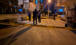 Kapı önündeki kavga cinayetle sonuçlandı