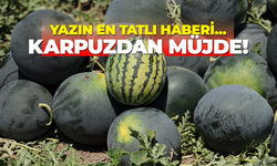 Yazın en tatlı haberi... Karpuzdan müjde!