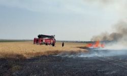 Kırklareli'nde buğday tarlalarında yangın: 500 dekar alan zarar gördü