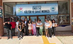 Örnek iş birliği