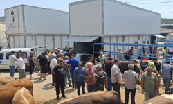 Büyükşehir’den bayramda güvenli ve hijyenik kesim hizmeti