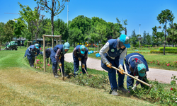Büyükşehir ile parklar yaza hazır