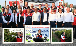 Tarım ve Orman Bakanı Yumaklı, Siirt'te böğürtlen hasadına katıldı