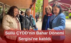 Süllü ÇYDD'nin Bahar Dönemi Sergisi'ne katıldı