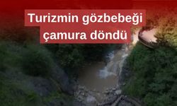 Plansız ıslah çalışmaları gölü çamura çevirdi