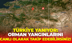 Türkiye Yanıyor: Orman Yangınlarını Canlı Olarak Takip Edebilirsiniz!
