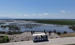 KUŞ CENNETİ YAZ MEVSİMİNDE DE İLGİ ODAĞI
