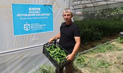 Büyükşehir'in desteğiyle seralara hasat bereketi